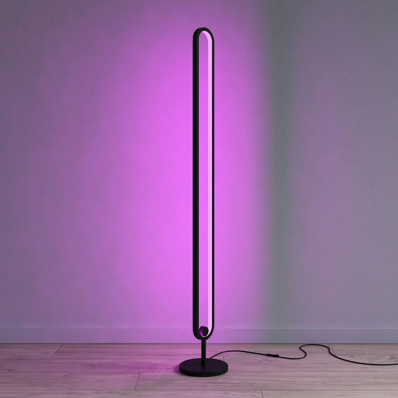 Minimalist LED Floor Lamp RGB