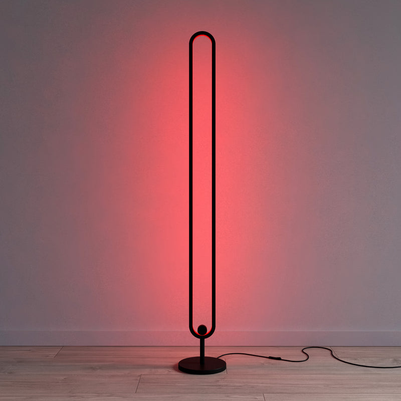 Minimalist LED Floor Lamp RGB