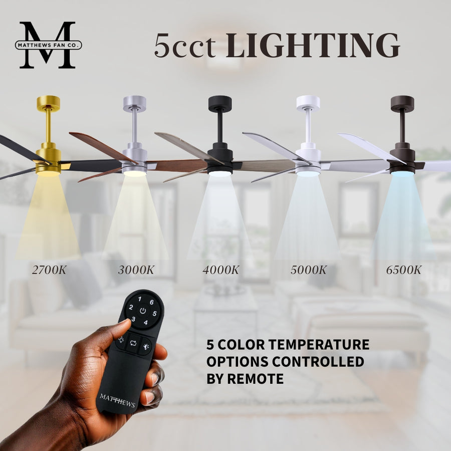56" Alessandra Light Kit Ceiling Fan