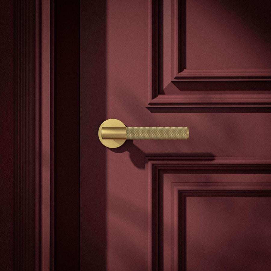 Brass Door Handle