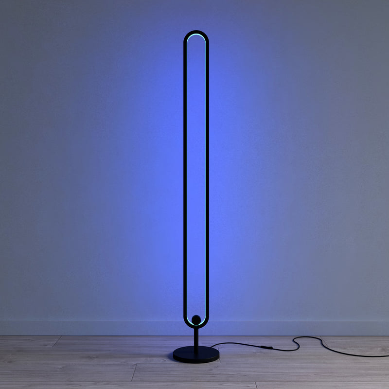 Minimalist LED Floor Lamp RGB