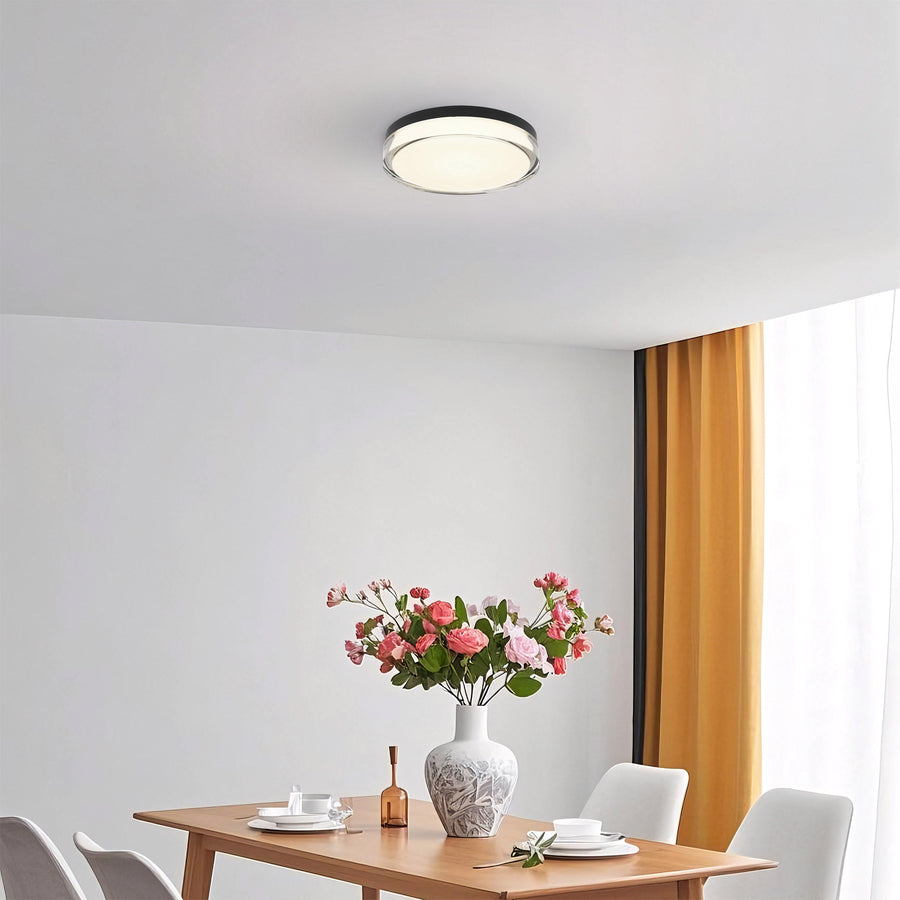 Sunspot Flush Mount