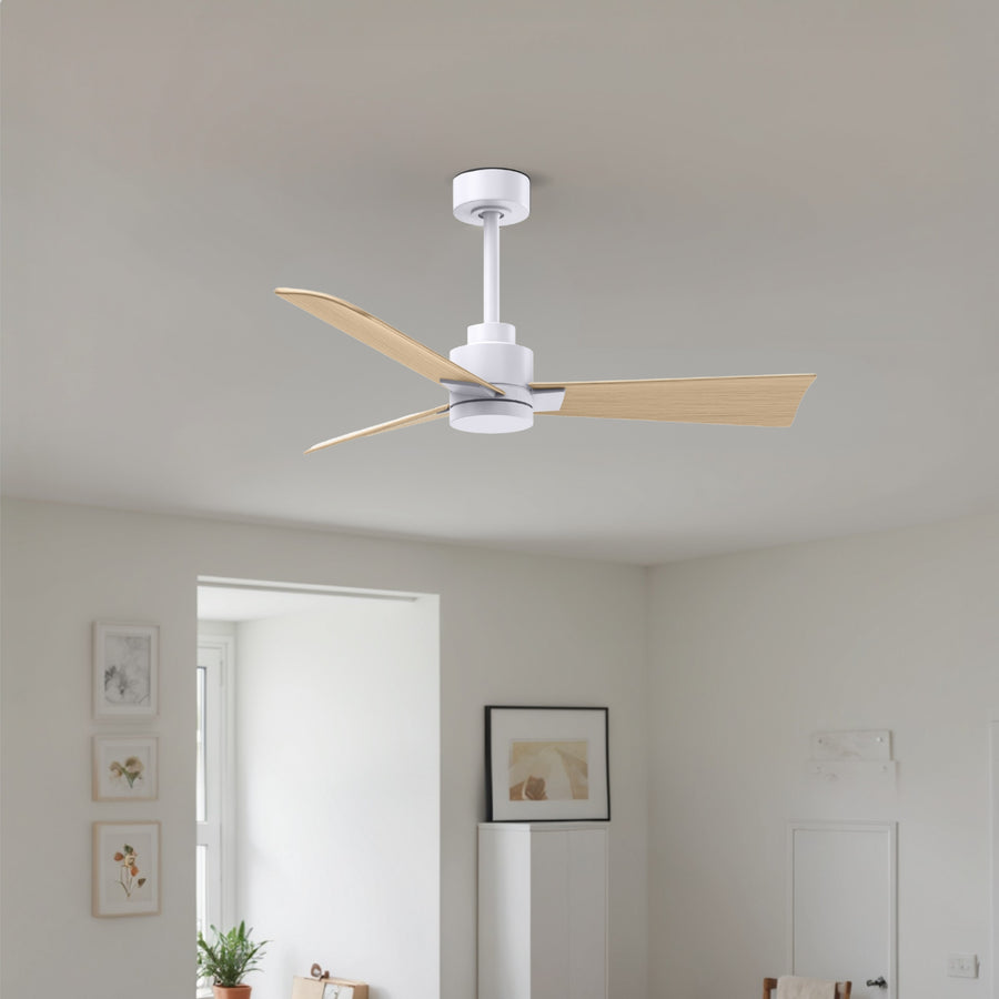 56" Alessandra Light Kit Ceiling Fan