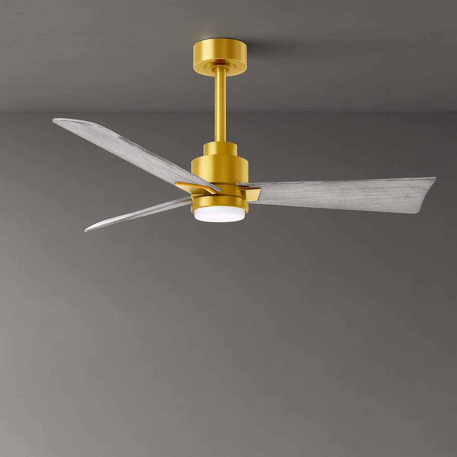 56" Alessandra Light Kit Ceiling Fan
