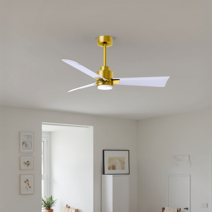 56" Alessandra Light Kit Ceiling Fan