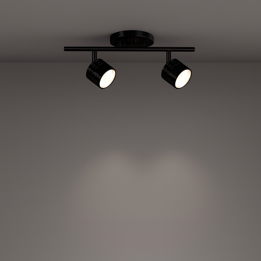 Lyra Track Light