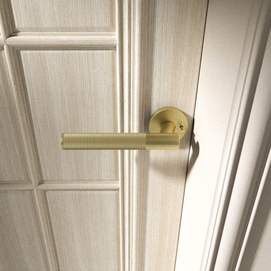 Brass Door Handle