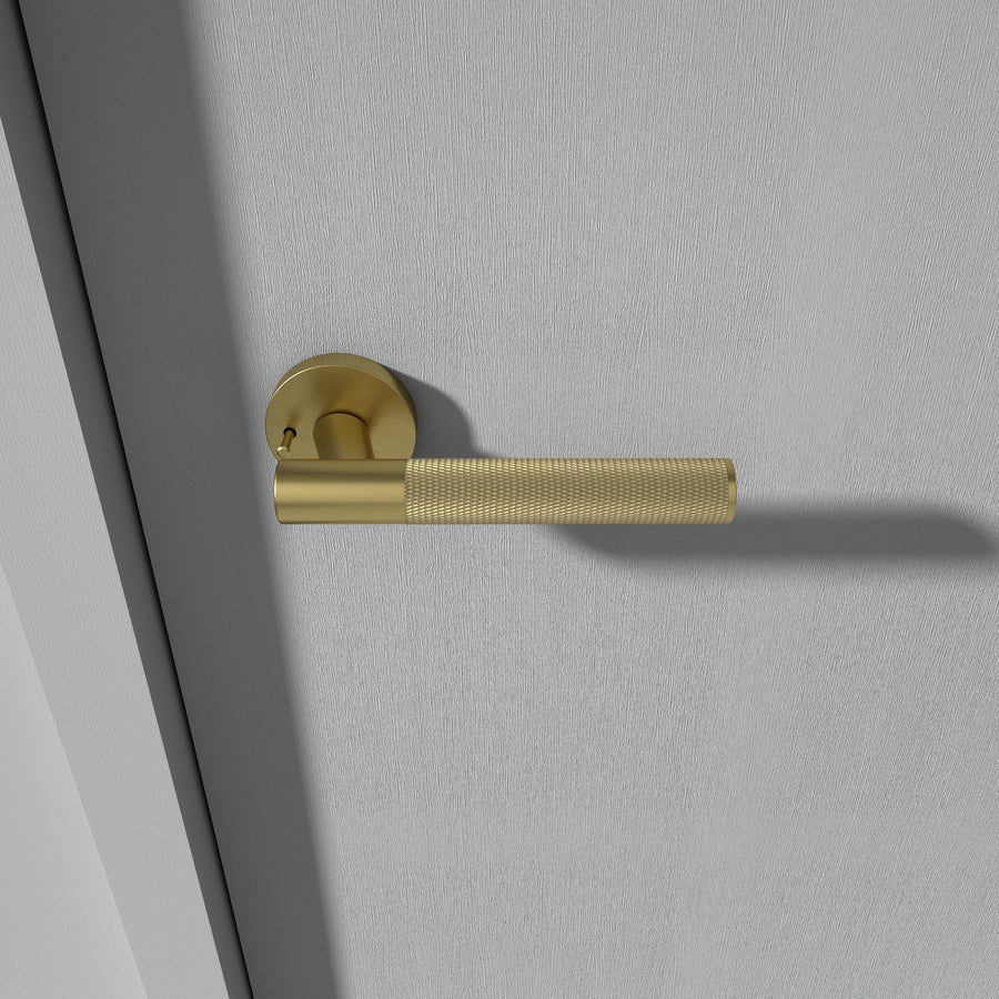 Brass Door Handle