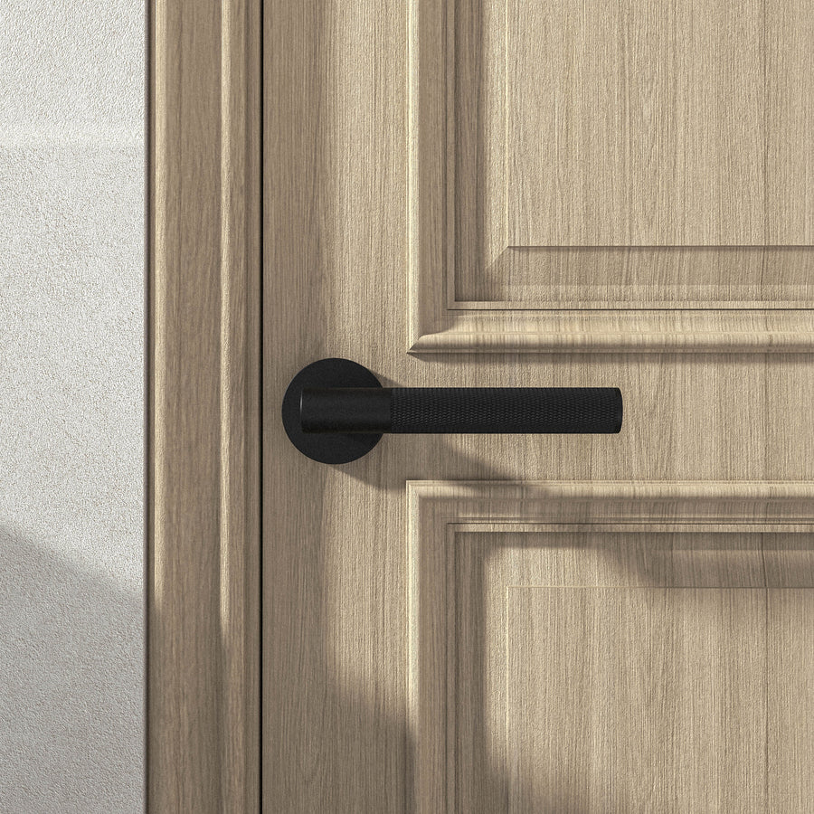 Brass Door Handle