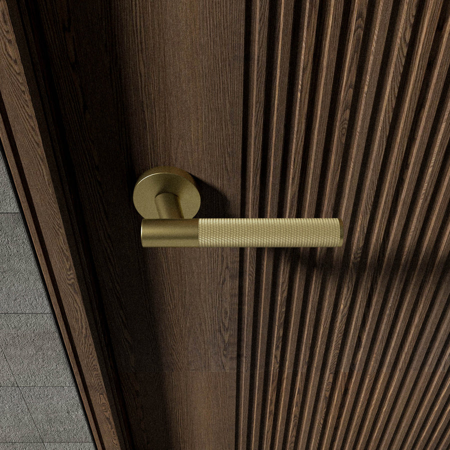 Brass Door Handle