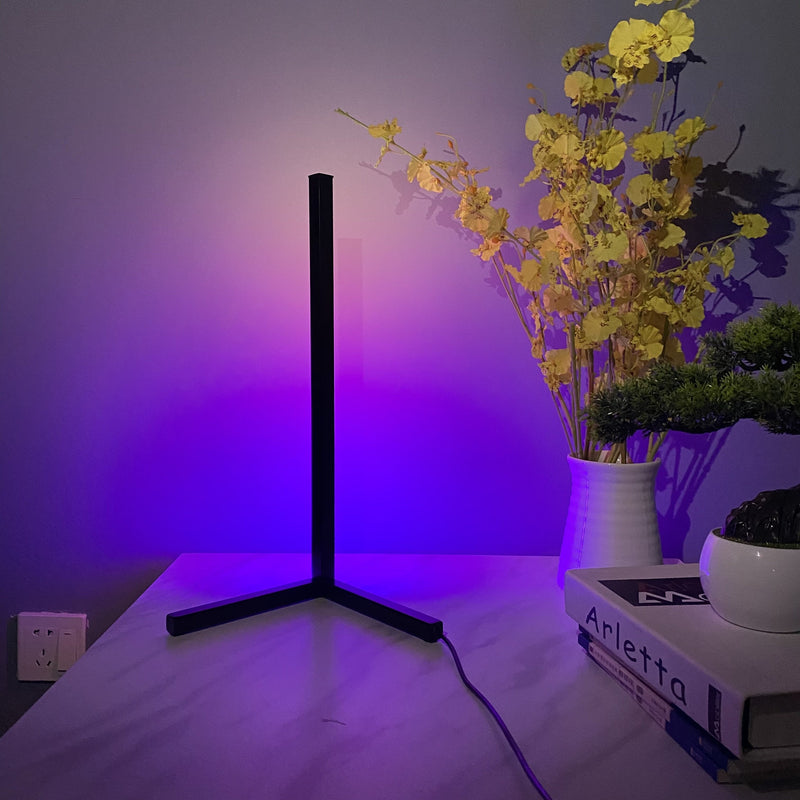 Minimalist LED table Lamp Warm Color Dimmable W/ Remote